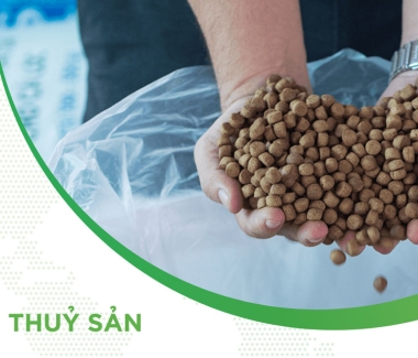 Thành phần dinh dưỡng trong thức ăn thủy sản