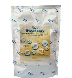 B12 FE Max