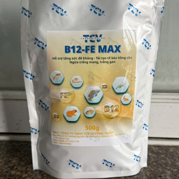 B12 FE Max