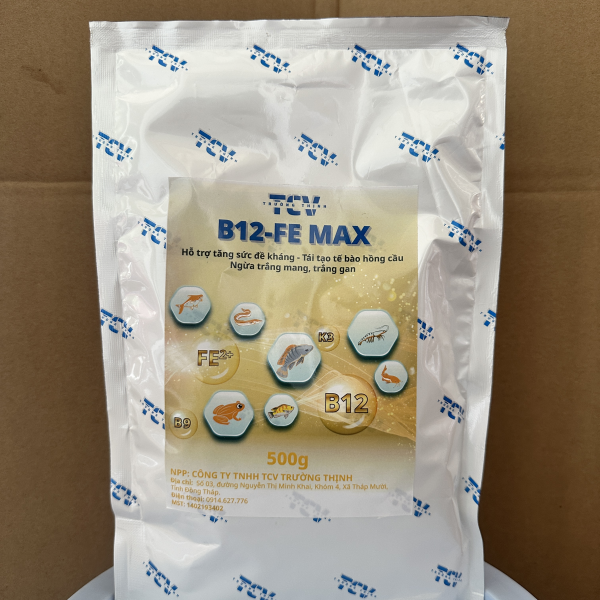 B12 FE Max