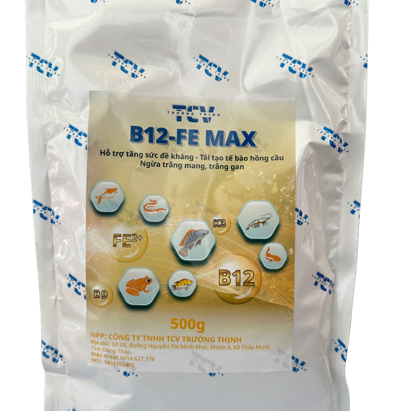 B12 FE Max