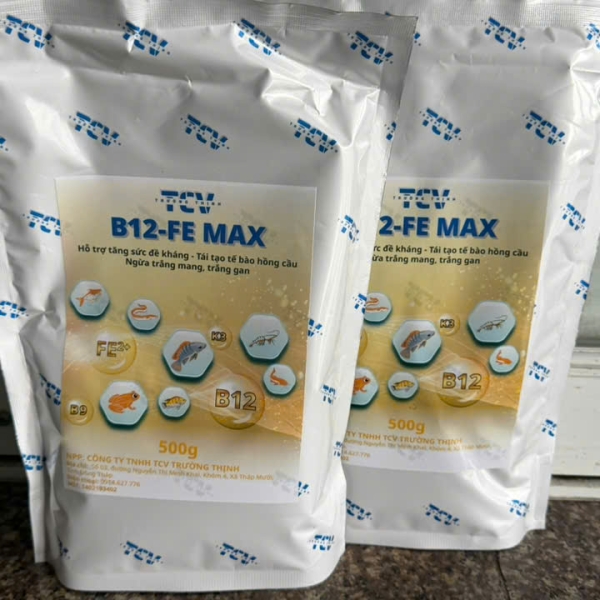 B12 FE Max