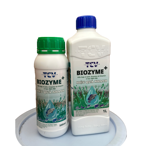 Biozyme lớn