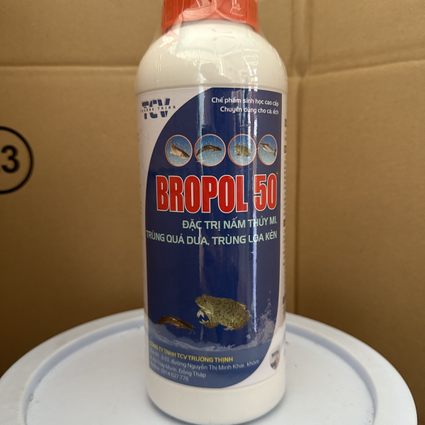 Bropol 50 lớn