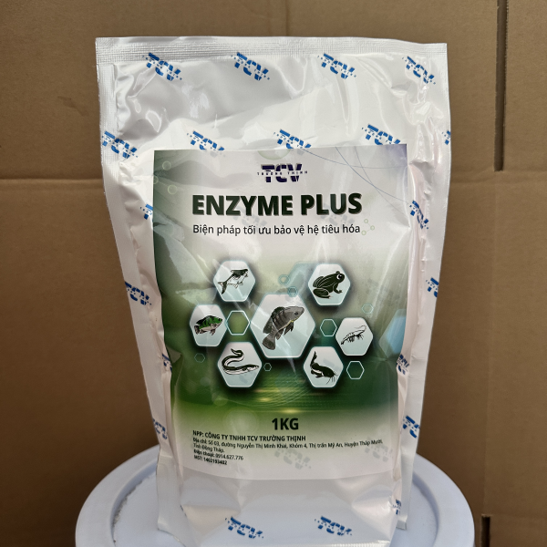 ENZYMe plus