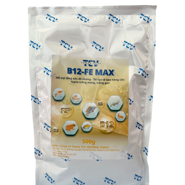 B12 FE Max