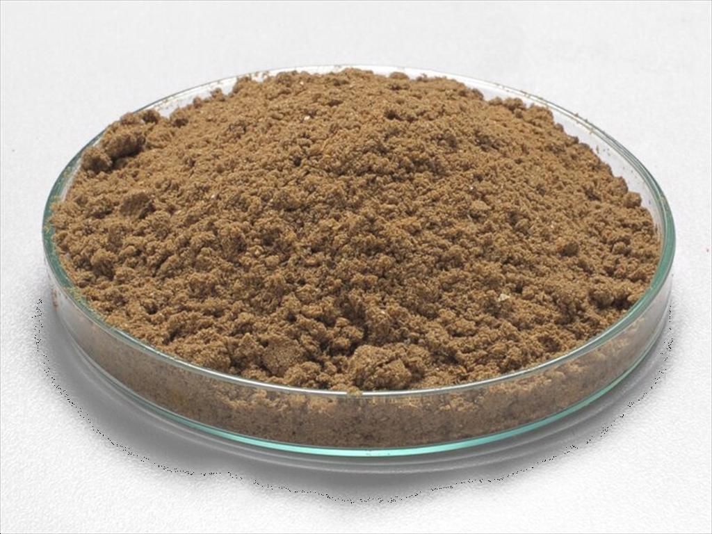 Nhu cầu thức ăn thủy sản thúc đẩy thị trường bột cá tăng trưởng ổn định