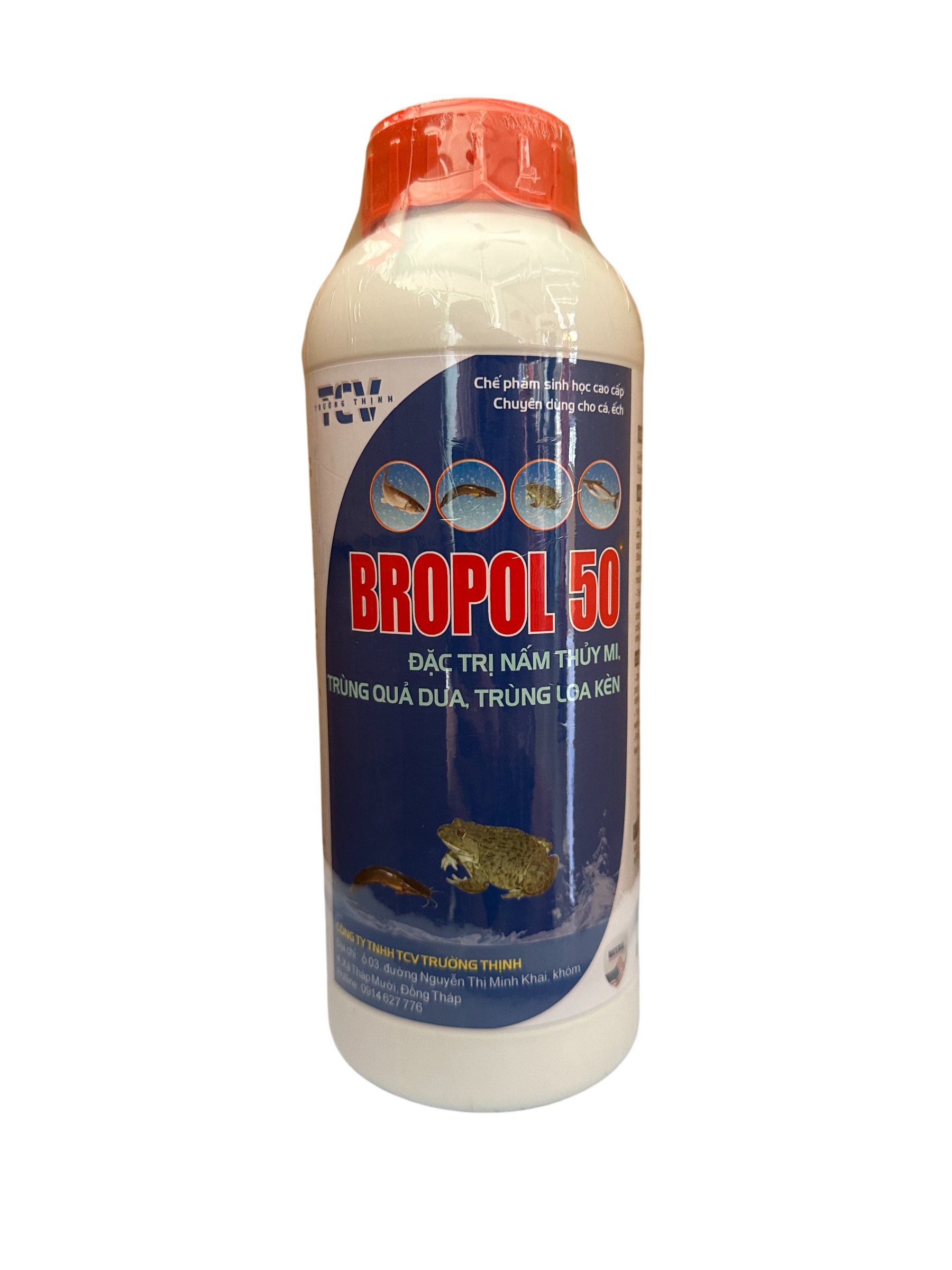 Bropol 50 lớn